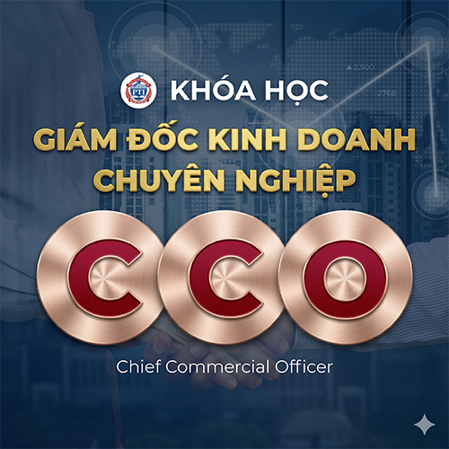 CCO – Giám đốc Kinh doanh chuyên nghiệp